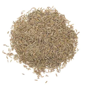 Cumin en graines