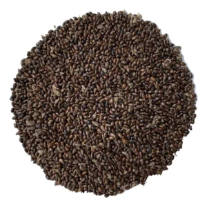 Essone – Maniguette – Jujube du Cameroun