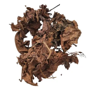 Feuilles de Djeka Séchées