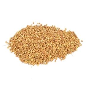 Coriandre en graines